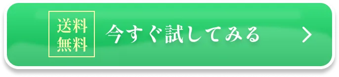 今すぐ試してみる